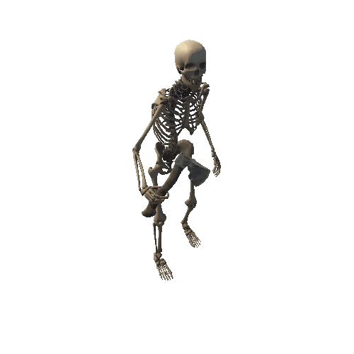 Skeleton 1